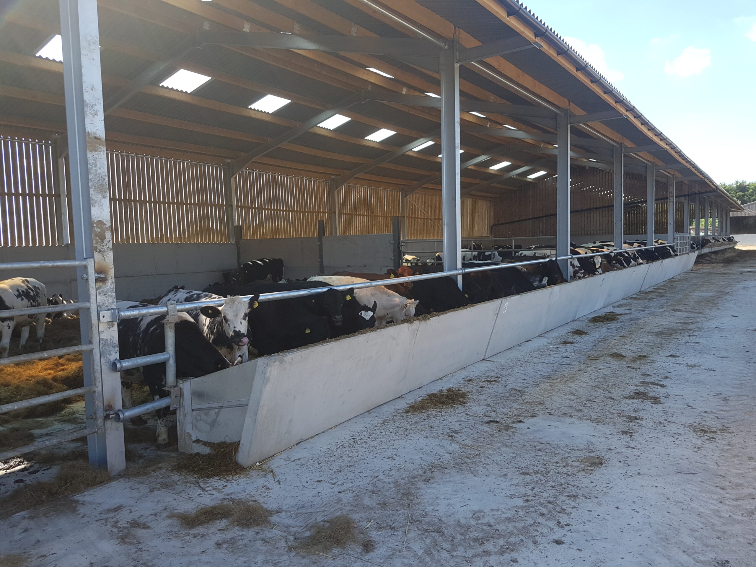 Livestock and Equestrian sheds