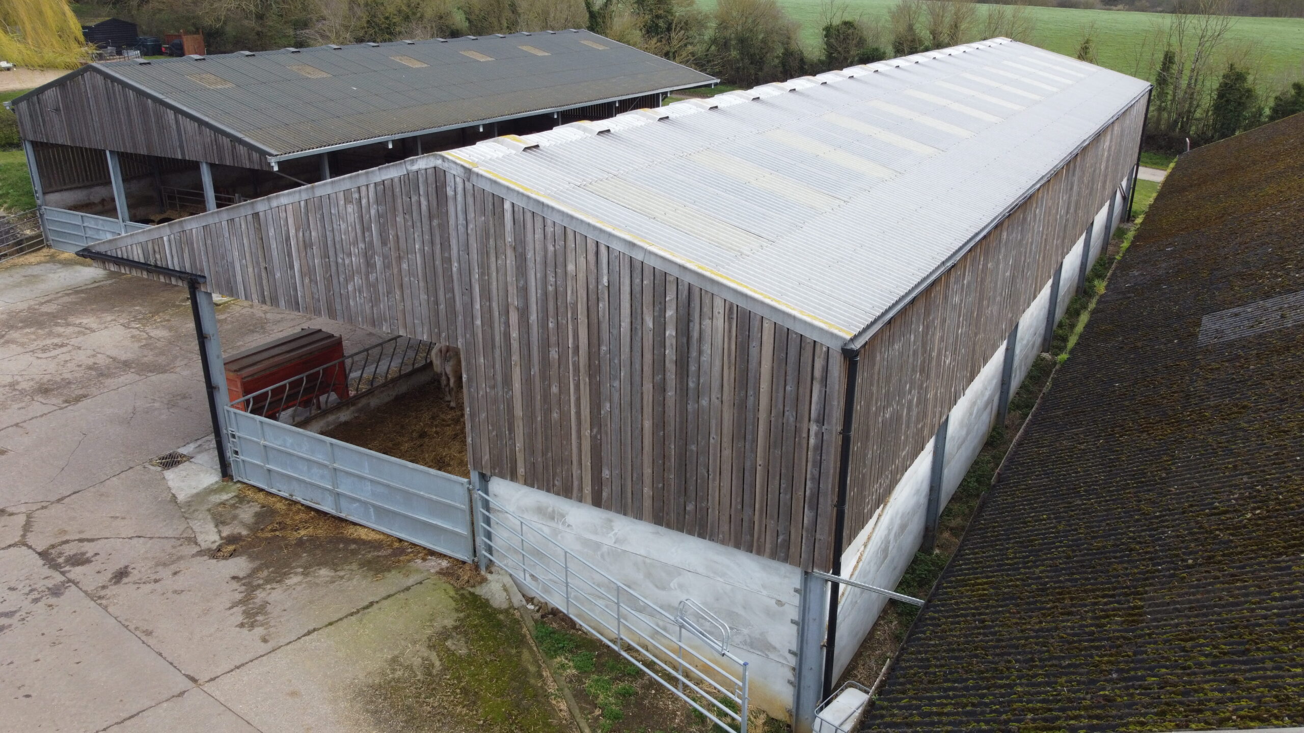 Cattle shed made of concrete wood and metal